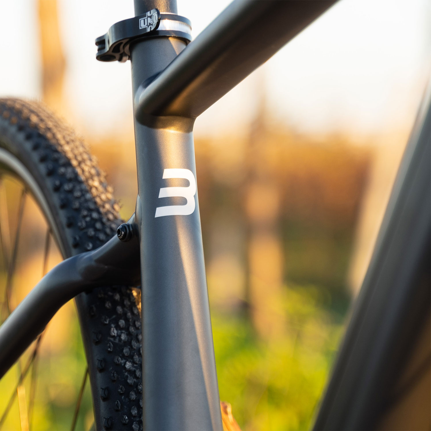 image 6 of Basso Bikes Vega Alu Gravel GRX Black E-Bike