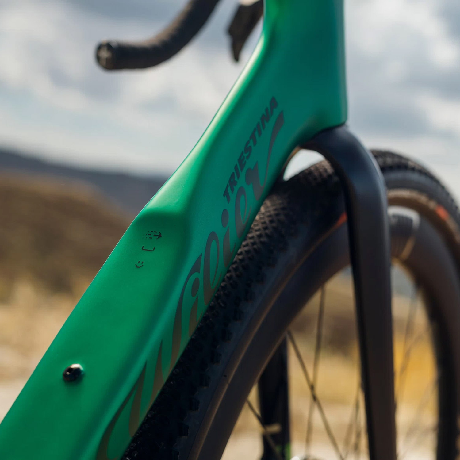 image 4 of Wilier Rave SLR ID2 Force E1 Pixel Green Bike